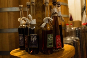 Dubrovnik: Oyster, Mussles, and Wine Tasting Tour in Ston