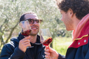 Dubrovnik: Oyster, Mussles, and Wine Tasting Tour in Ston