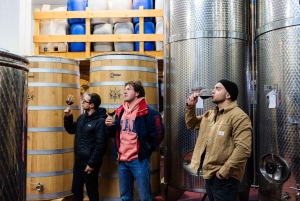 Dubrovnik: Oyster, Mussles, and Wine Tasting Tour in Ston