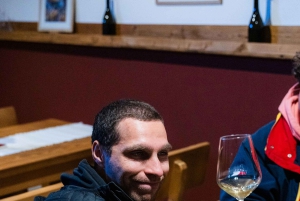 Dubrovnik: Oyster, Mussles, and Wine Tasting Tour in Ston