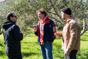 Dubrovnik: Oyster, Mussles, and Wine Tasting Tour in Ston