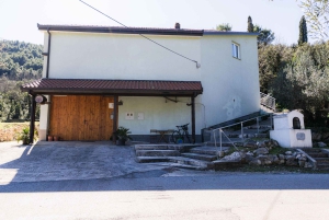 Dubrovnik: Oyster, Mussles, and Wine Tasting Tour in Ston