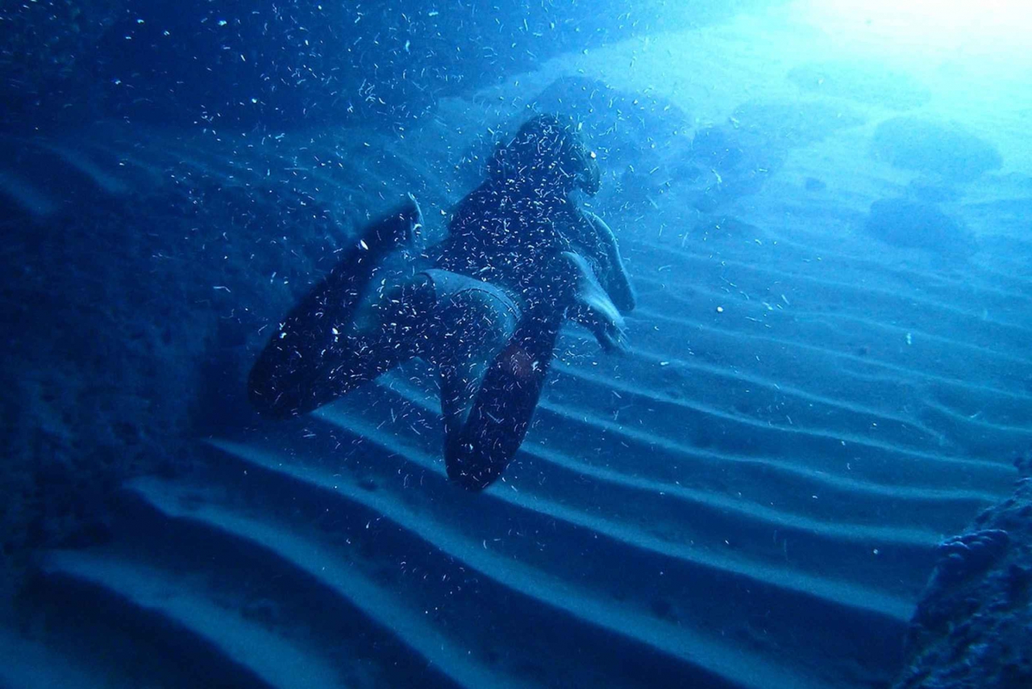 Dubrovnik: Tour door de Blauwe Grot met panoramisch uitzicht op de oude stad