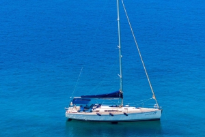 Elegant dagsejlads med frokost og drikkevarer inkluderet