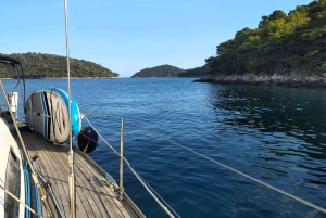 Elegant dagsejlads med frokost og drikkevarer inkluderet
