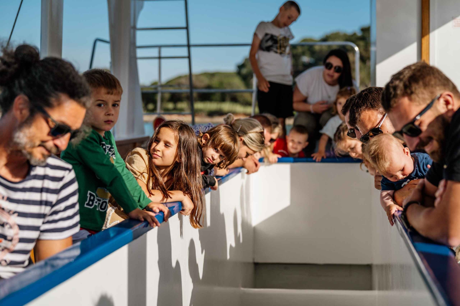 Fažana: Glass Boat Tour of Brijuni National Park