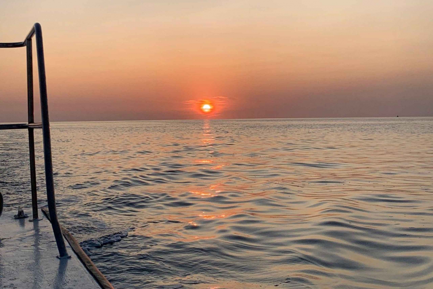 FAŽANA: SAFARI CON DELFINES