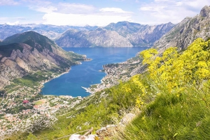 From Dubrovnik: Montenegro Day Trip