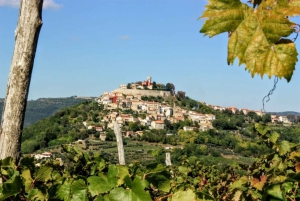 From Rovinj/Bale: Istria in 1 Day Tour with Truffle tasting