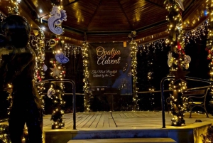 A PARTIR DE TRIESTE: visita aos mercados de Natal de Opatija com vinho