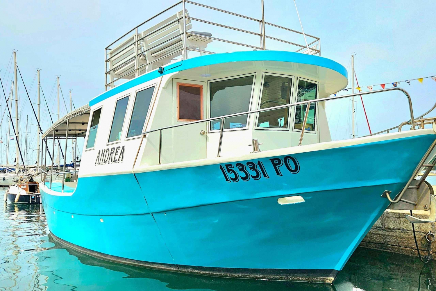 Delfin-Safari-Bootstour ab Jachthafen Funtana