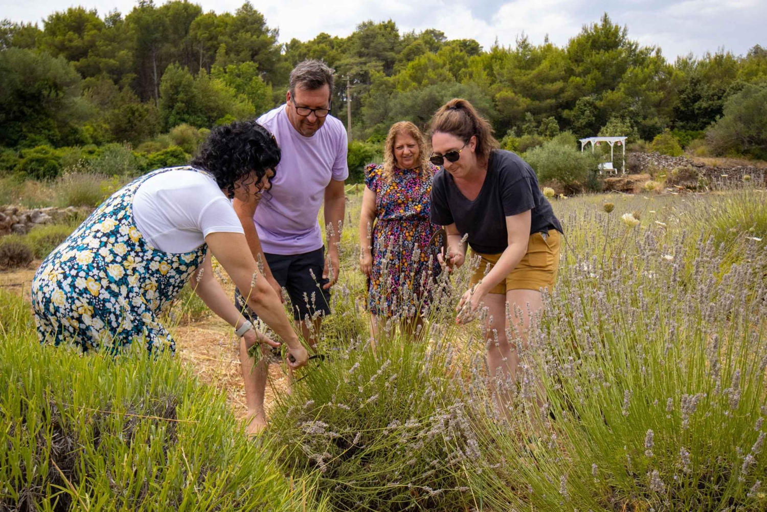 Hvar: Lavender Fields, Honey, and Local Product Tasting