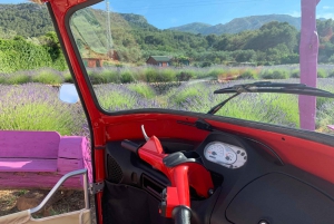 Hvar: Tuk Tuk Inselrundfahrt