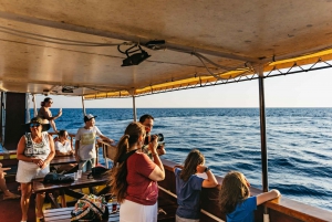 Kamenjak: Medulin Sunset Dolphin Tour