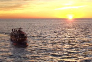 Kamenjak: Medulin Sunset Dolphin Tour