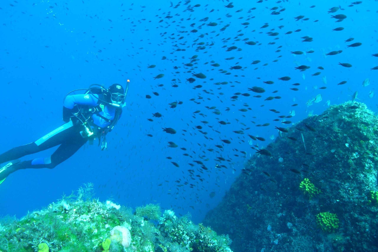 Krk: Entdeckungstauchgang vom Boot aus
