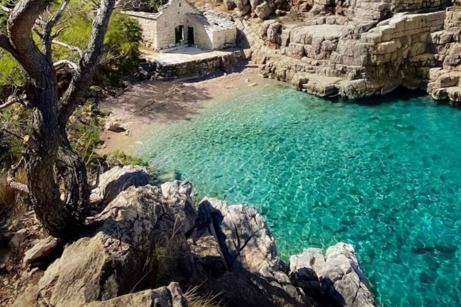 Makarska : excursion privée d'une demi-journée en bateau vers l'île de Hvar