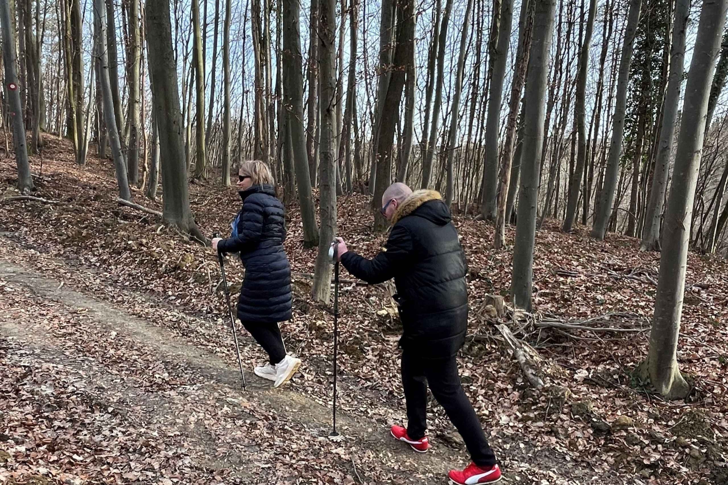 Marija Bistrica: Geführte Wanderung mit Stöcken und Rucksack