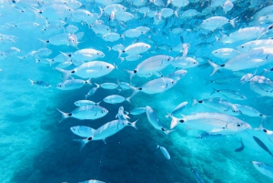 Medulin: Boat Cruise to Kamenjak/Ceja with Lunch and Drinks