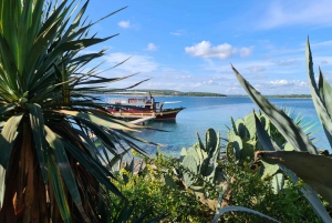 Medulin: Boat Cruise to Kamenjak/Ceja with Lunch and Drinks