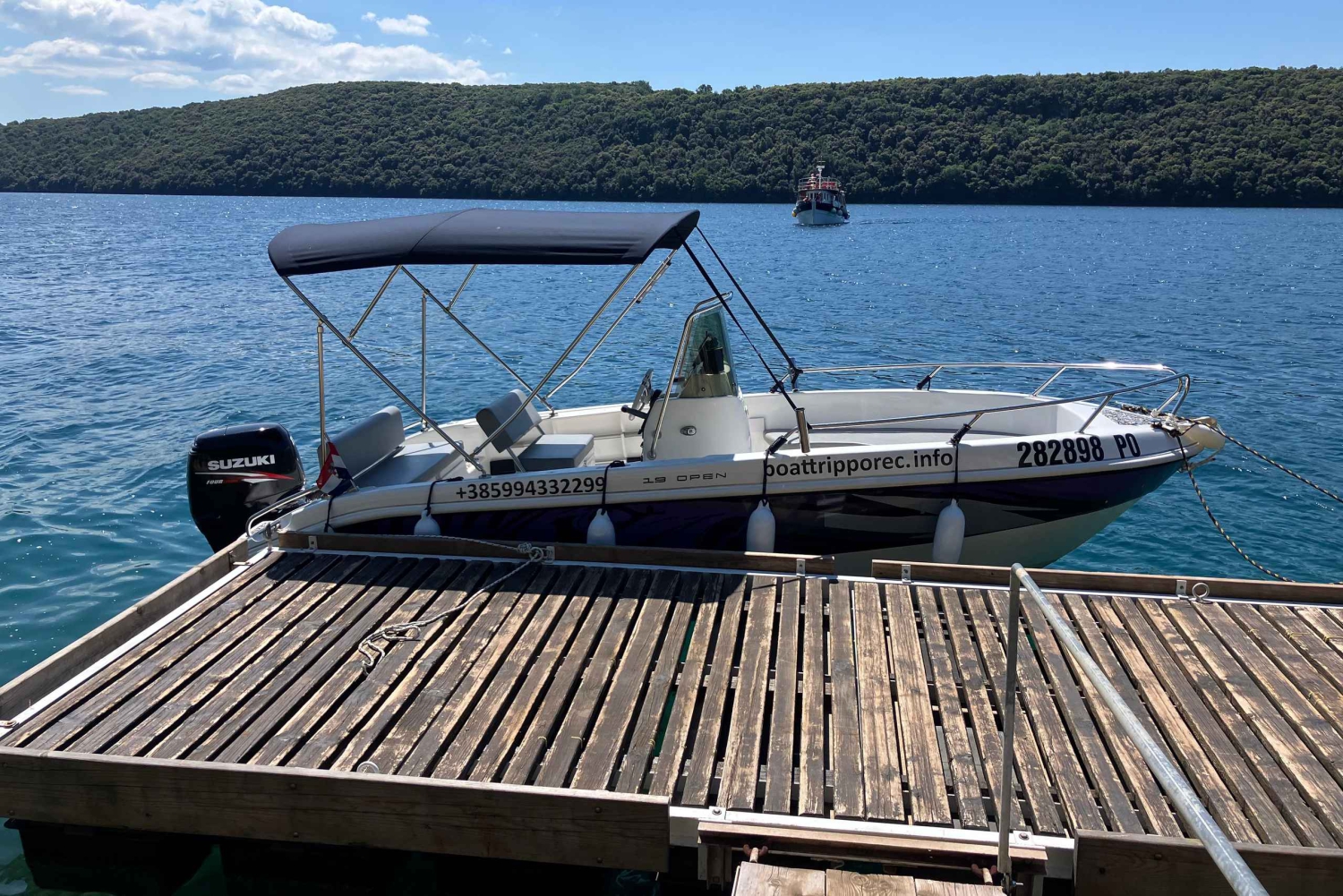 Gite private in barca a Parenzo: avvistamento delfini, panorama