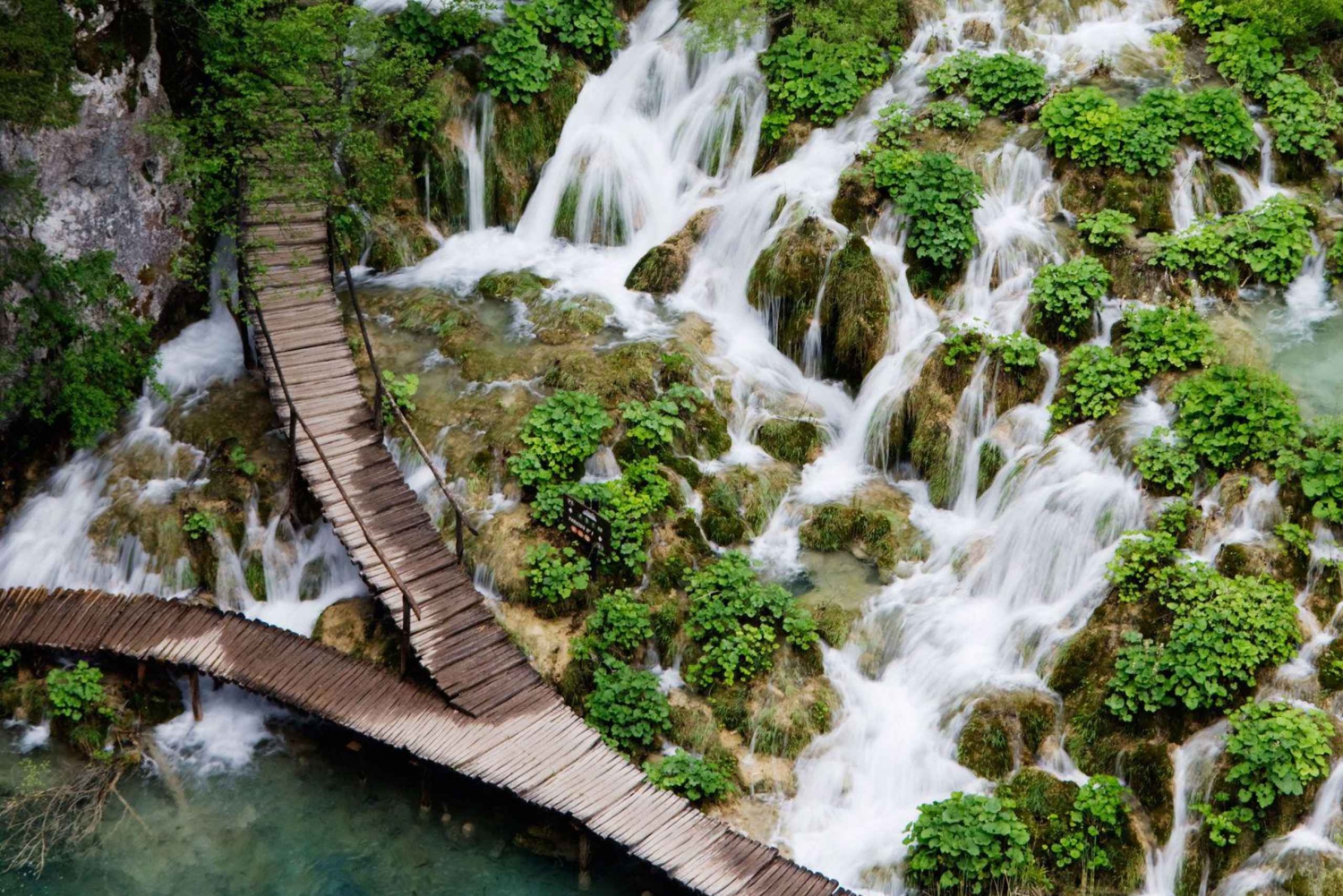 ドルフィンツアー 2時間