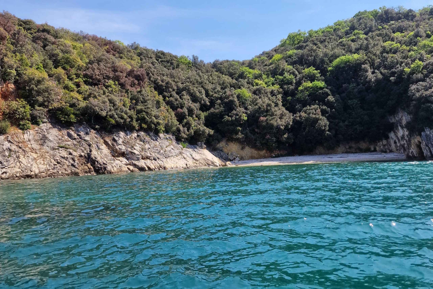 Îles de Rovinj : excursion de 3 heures avec baignade et plongée avec tuba