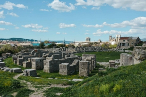 サロナ野外博物館 - プライベート・ガイドツアー（チケット込み