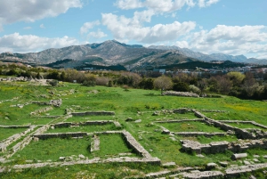 サロナ野外博物館 - プライベート・ガイドツアー（チケット込み