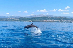 Split: Błękitna Laguna, Hvar i 6 wysp – rejs wycieczkowy w małej grupie