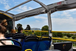 Split: Sightseeing med den blå linje til Trogir, Klis og Olivenmuseet