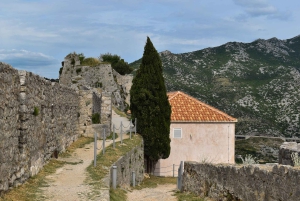 Split : ligne verte à arrêts multiples vers Klis, le musée de l'olive et Žnjan