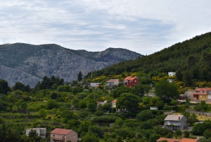 Split : ligne verte à arrêts multiples vers Klis, le musée de l'olive et Žnjan