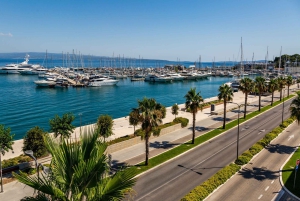 スプリット：ユダヤ遺産とディオクレティアヌス宮殿ウォーキング ツアー