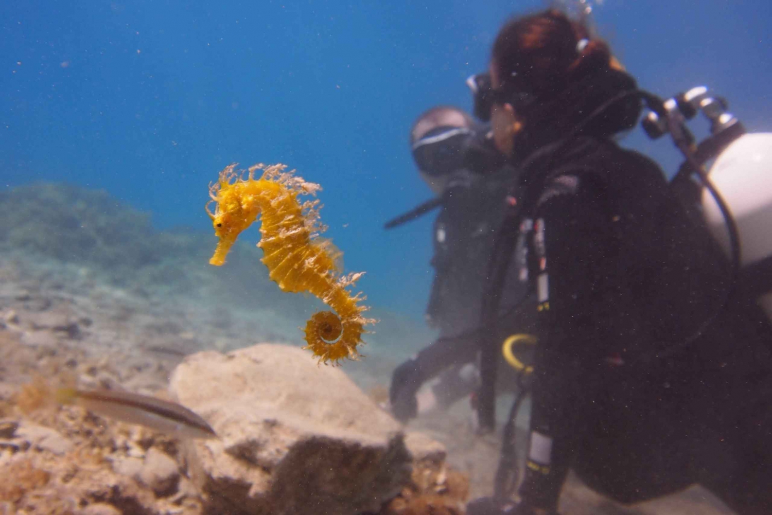 Split-Makarska-Brela Prova l'immersione con lo SCUBA