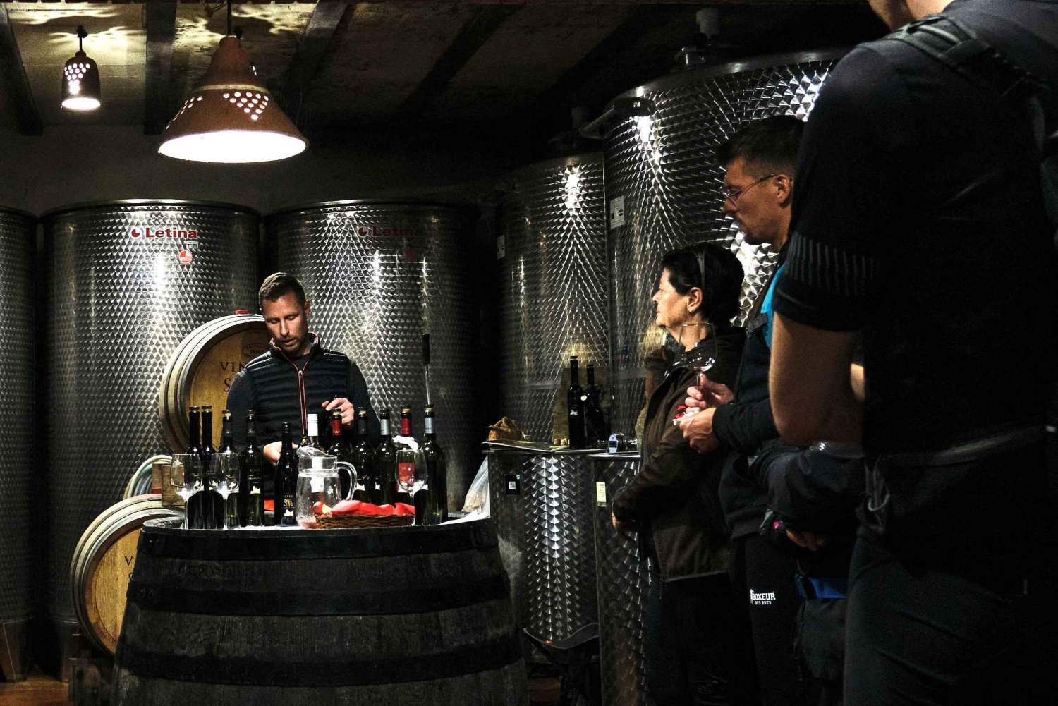 Tuheljske Toplice: tour in e-bike con degustazione di vini