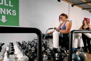 VRBNIK: Nielimitowany dzienny bilet na nurkowanie