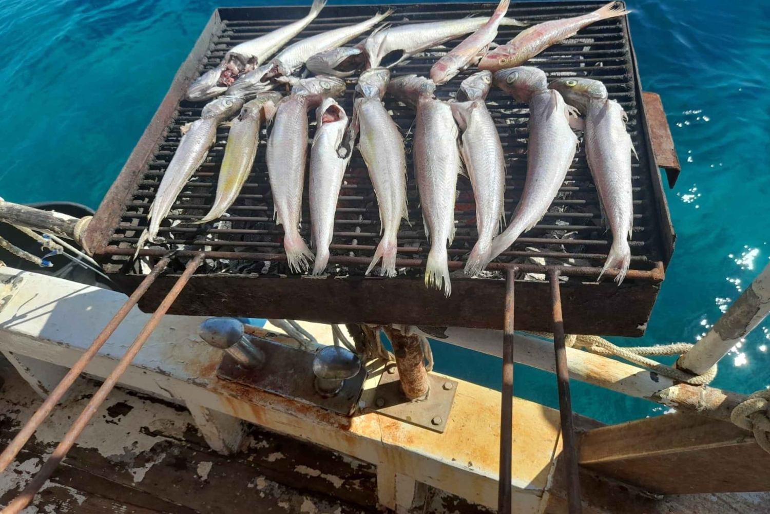 Zadar: Fisketur med lunsj og svømming inkludert