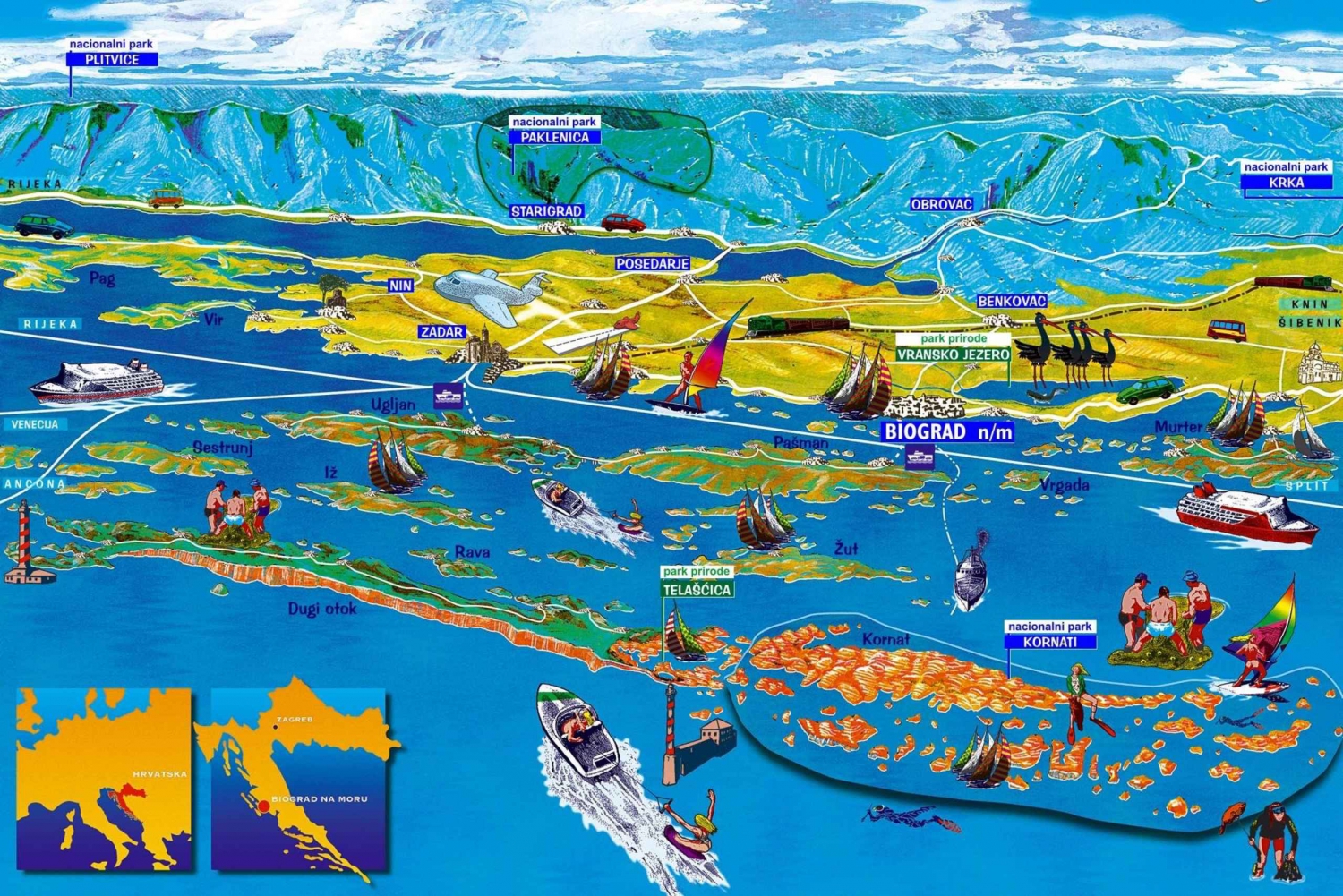 Molat Island Dolphin Watching Bådtur 6 timers TUR