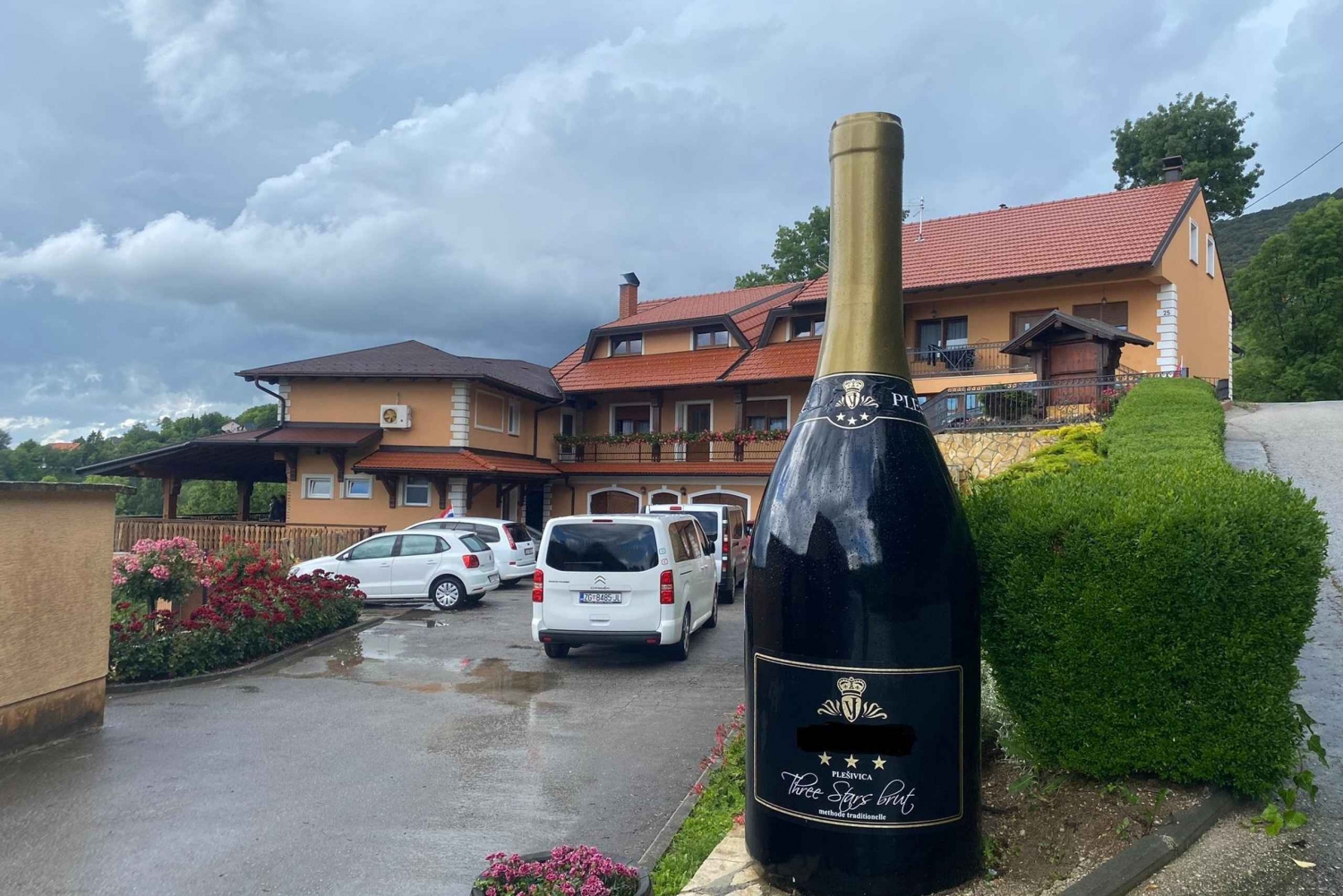 Zagreb : excursion d'une journée à la découverte des vins de Hrastje Plešivičko