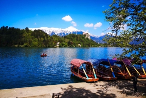 Zagreb: dagtour Ljubljana en het meer van Bled