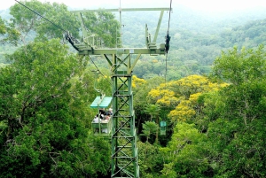 Desde Ciudad de Panamá: Tour guiado por la selva tropical de Gamboa con almuerzo