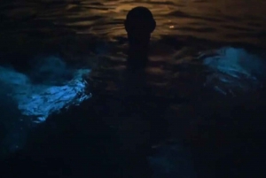 Desde San Juan: Excursión Bio Bay Magic & Cata de Ron