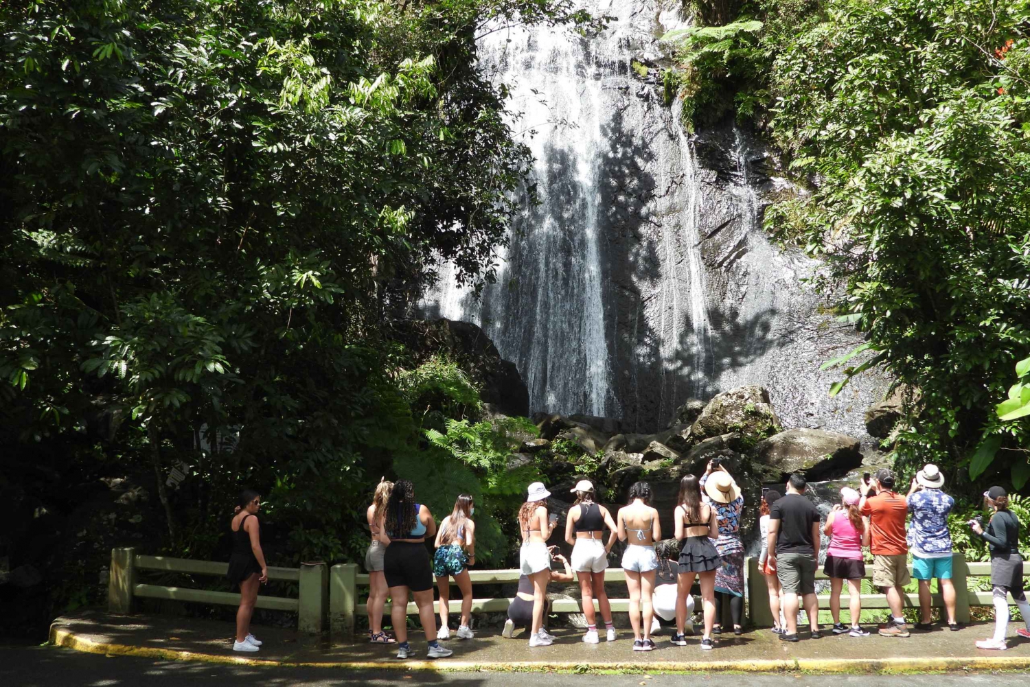 From San Juan: Rainforest Walk, Nature Swim & Luquillo Beach