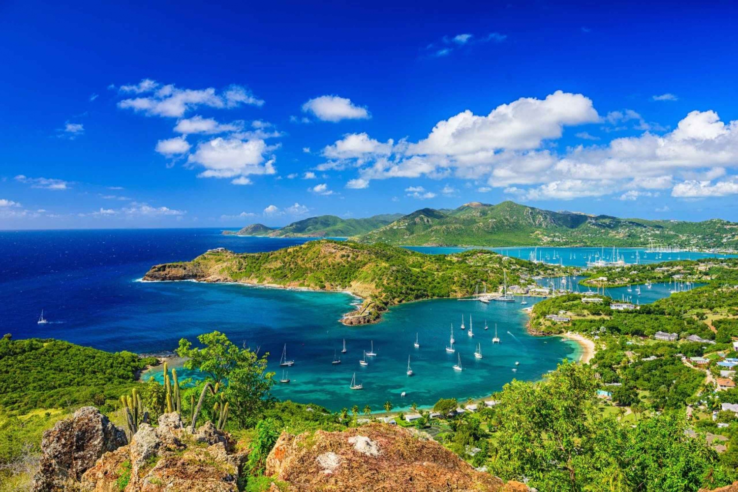 From St John's: Half-Day Historical Tour + Beach Escape