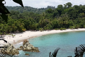 Excursión combinada al Parque Nacional Manuel Antonio desde San José