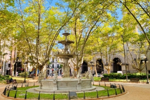 Montevideo: tour completo de medio día con guía y 6 paradas