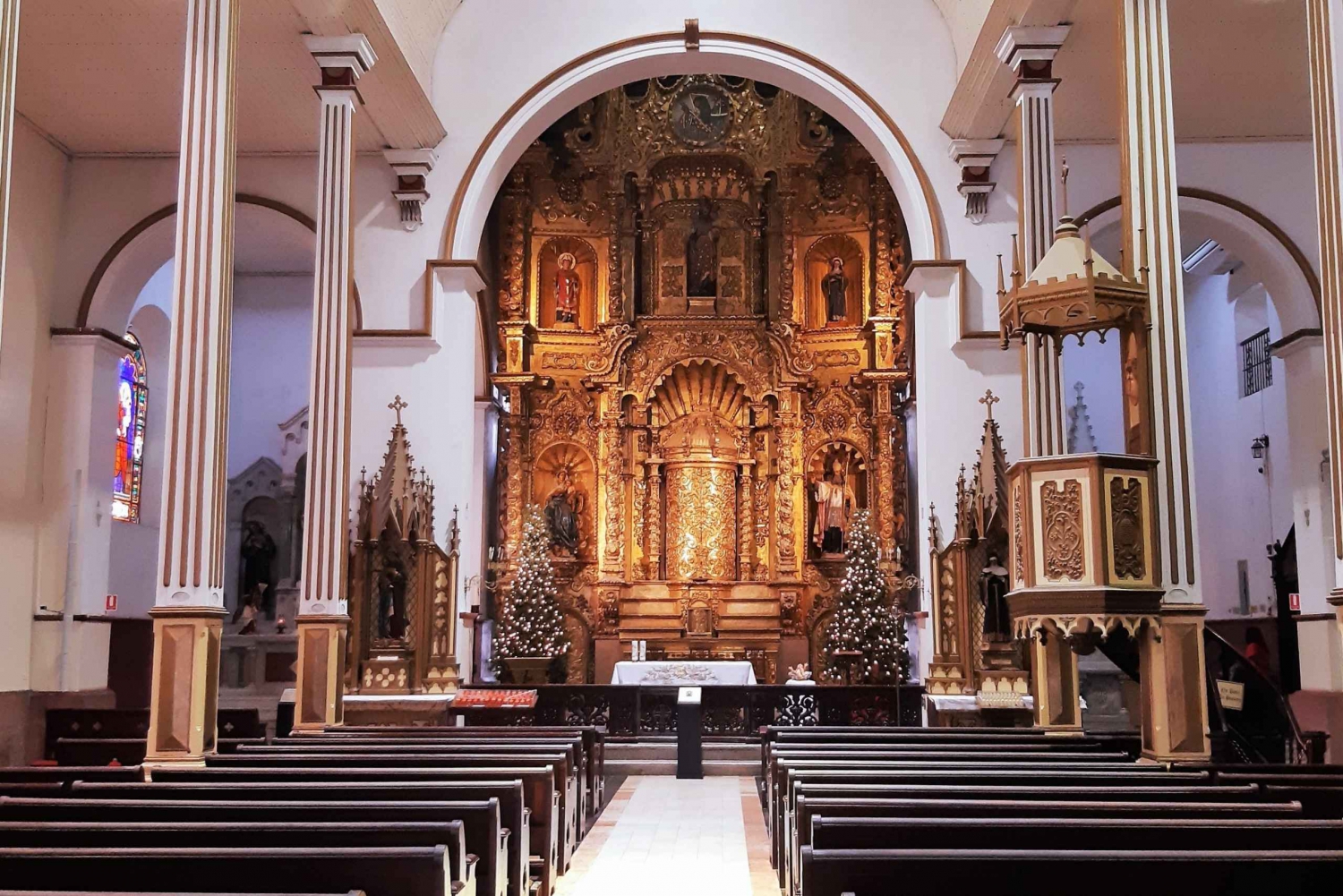 Panamá: tour de medio día por la ciudad y el canal y paseo al aire libre por el BioMuseo