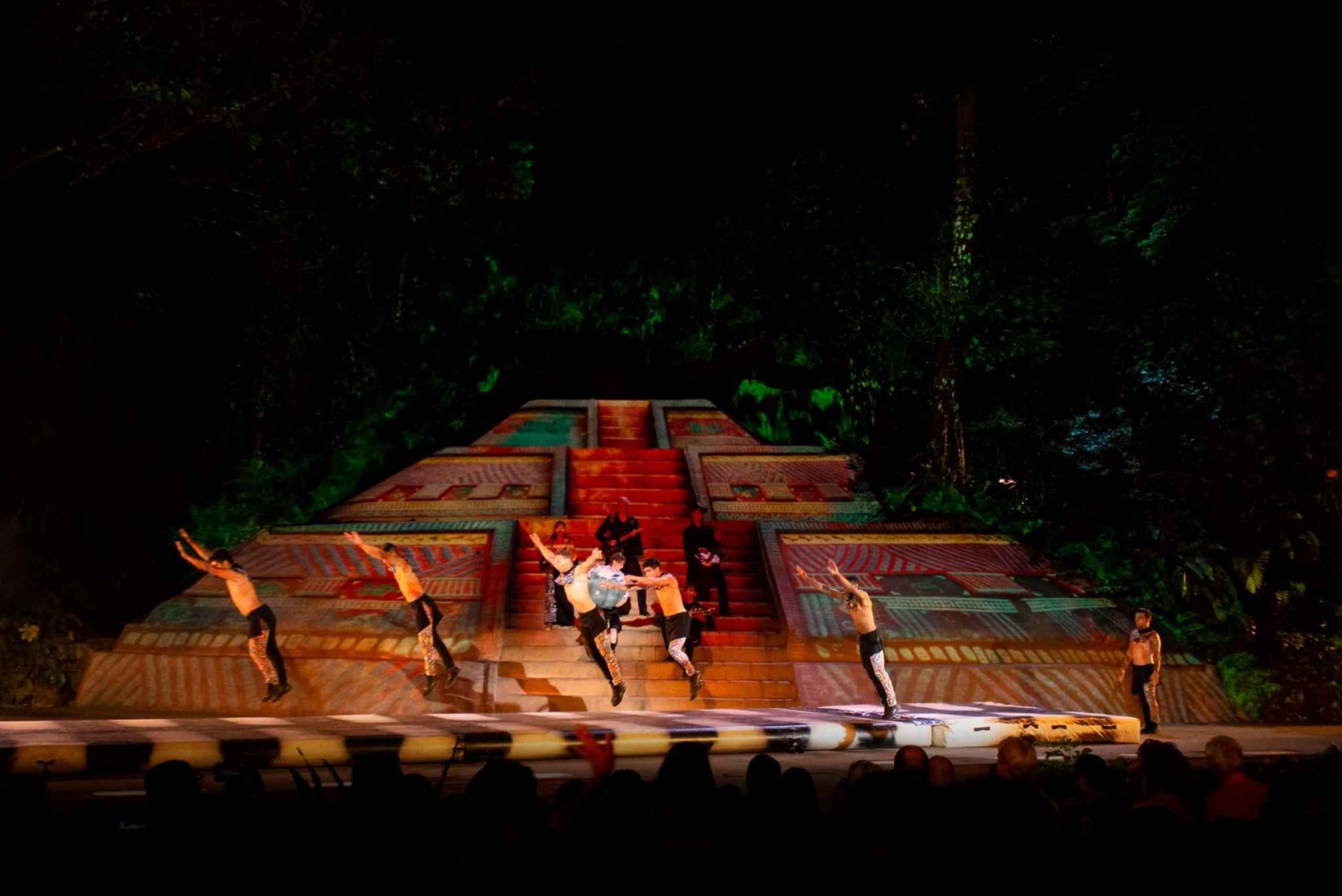 Puerto Vallarta Ritmos de la noche, espectáculo y cena bufé.