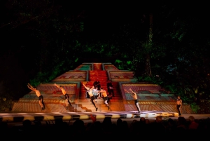 Puerto Vallarta Ritmos de la noche, espectáculo y cena bufé.